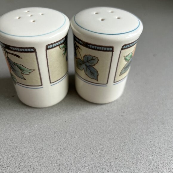 Mikasa Intaglio CAC29 Garden Harvest Classic Salt and Pepper Shakers Set - Picture 4 of 7